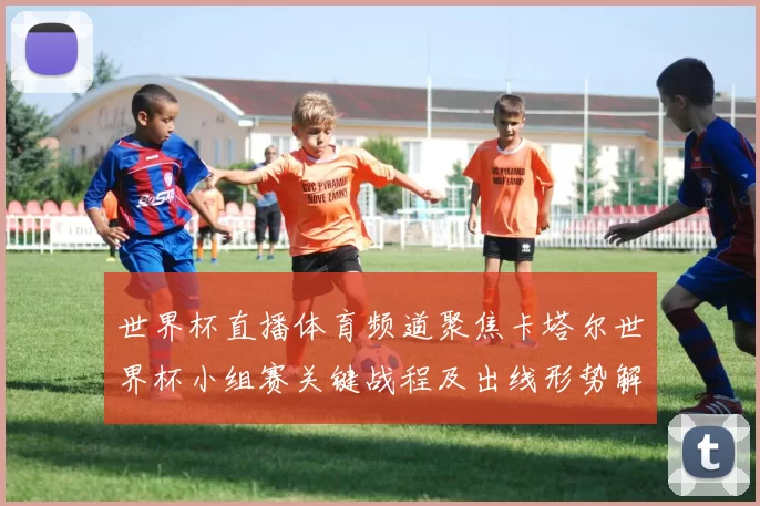 世界杯直播体育频道聚焦卡塔尔世界杯小组赛关键战程及出线形势解析