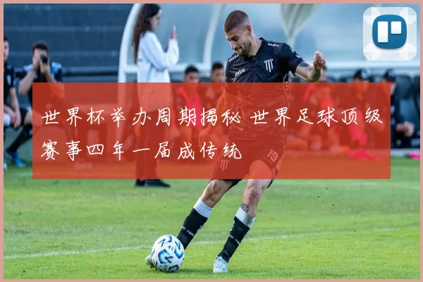 世界杯举办周期揭秘 世界足球顶级赛事四年一届成传统