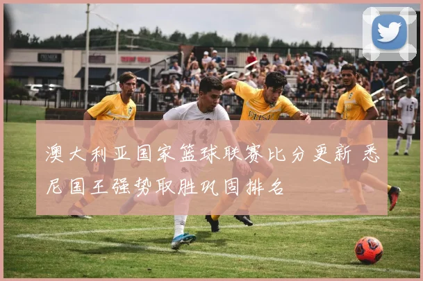 澳大利亚国家篮球联赛比分更新 悉尼国王强势取胜巩固排名